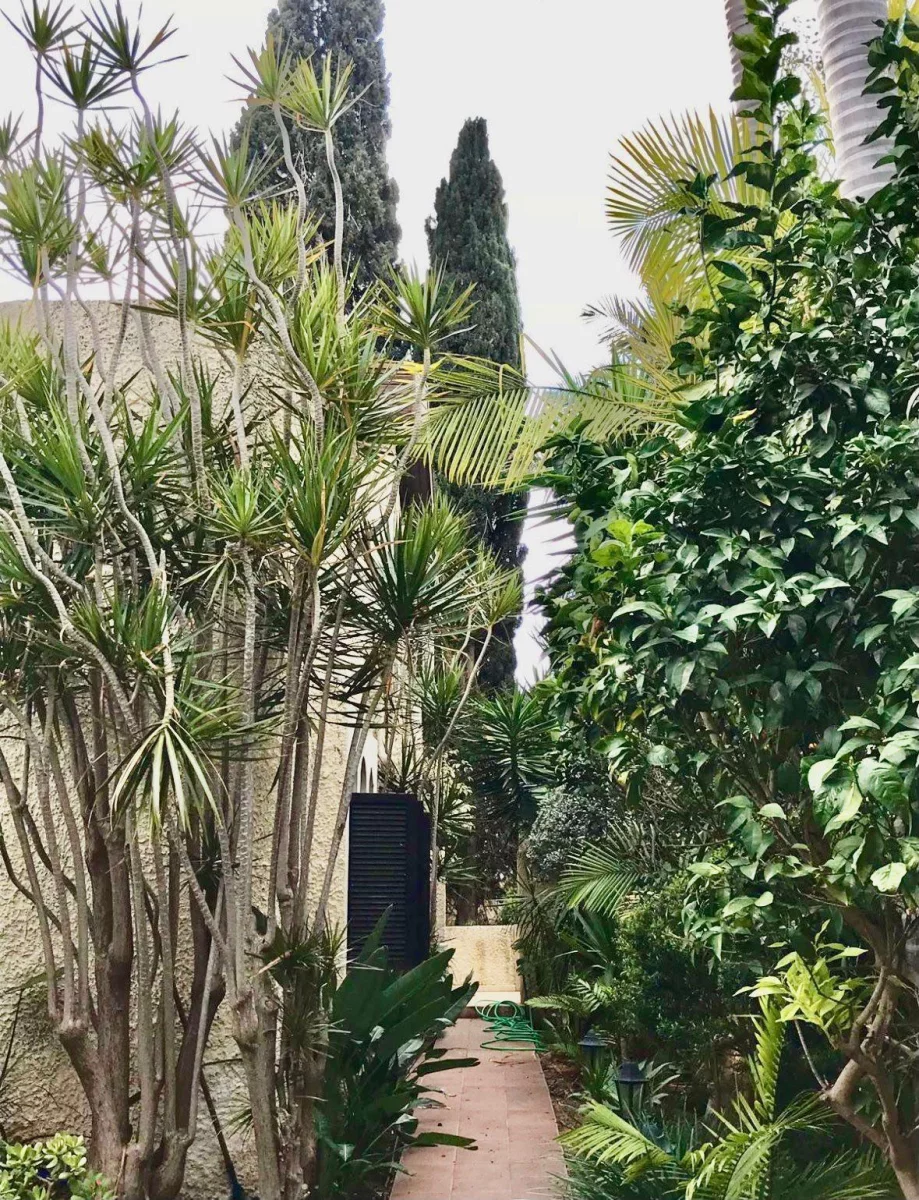Grande maison avec beaucoup de potentiel à vendre, Kiriat Yarim, Ramat Hasharon